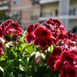 https://hotel-niku.hotels-in-tirana.com