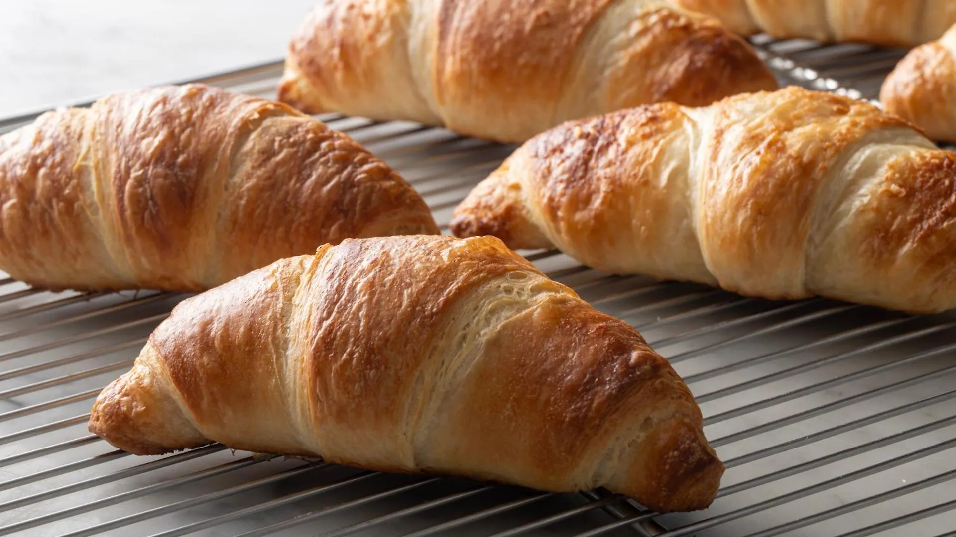 *** ホテル ホテルトラスティプレミア日本橋浜町 東京都 日本